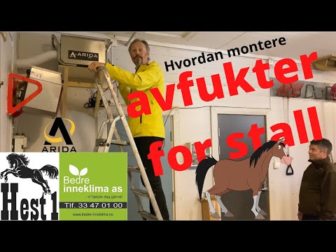 Last inn video: