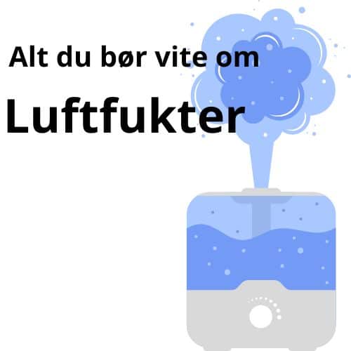 Det du bør vite om luftfukter