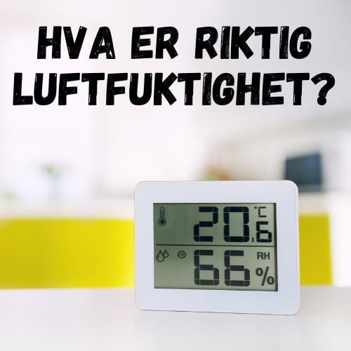 Hva er riktig luftfuktighet inne?