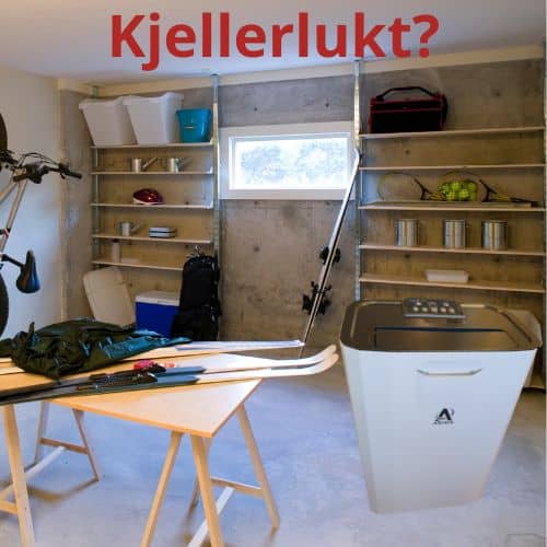 Hvordan fjerne kjellerlukt?