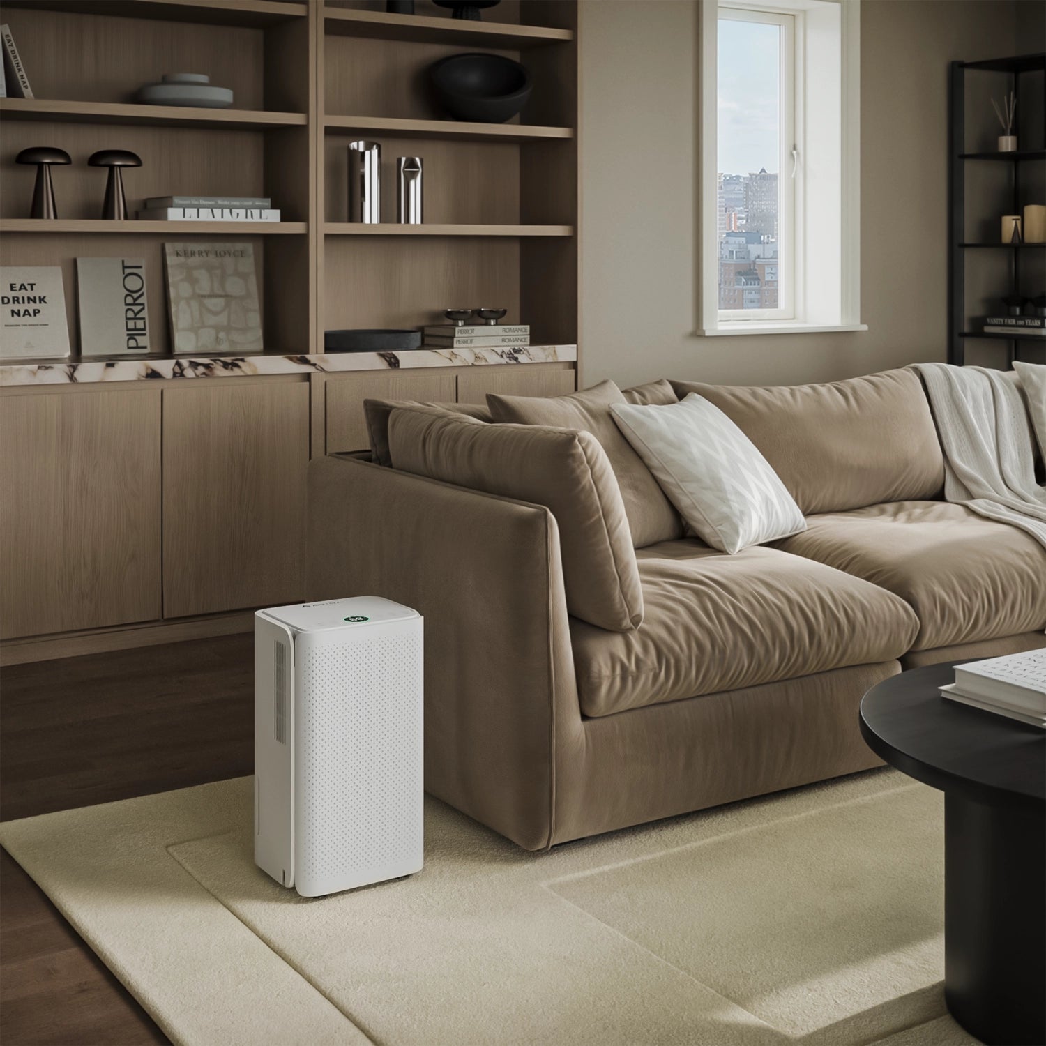 Arida Larvik stilren avfukter for leilighet og stue med WiFi og slange