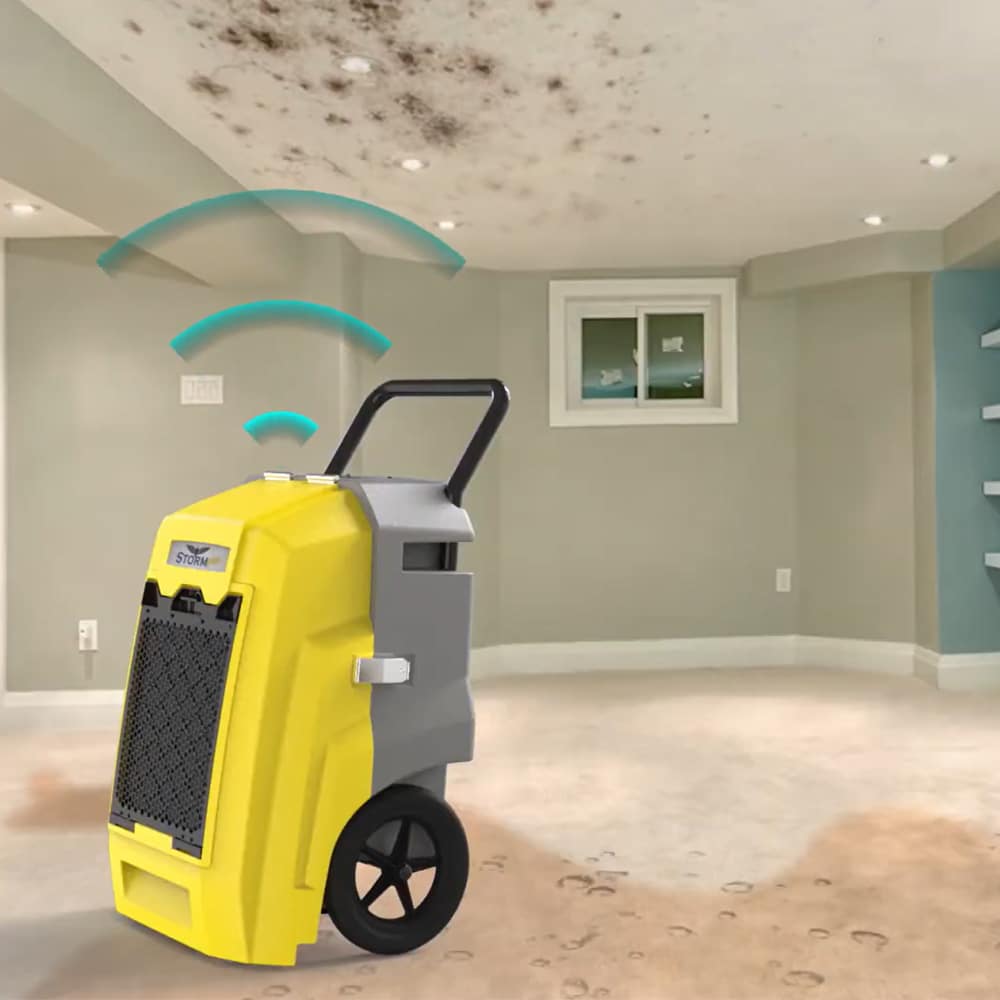 Arida Storm Pro skadesanering fuktskade byggeplass