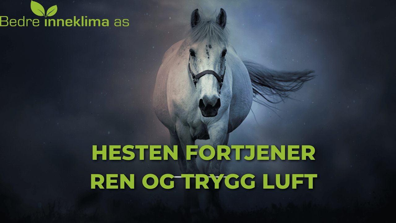 Hesten-fortjener-ren-og-trygg-luft.png
