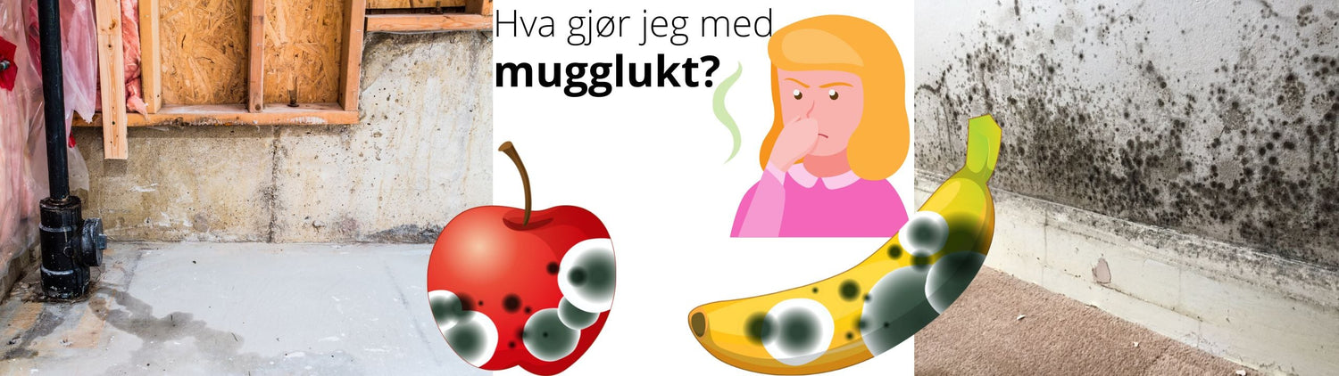 Hva-gjor-jeg-med-mugglukt.jpg
