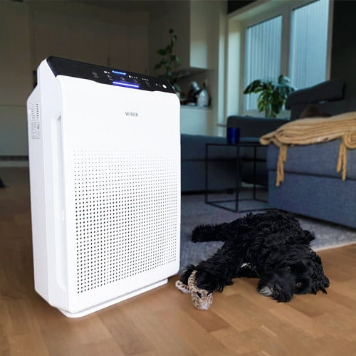 Winix-Zero-luftrenser-effektiv-mot-allergier-husdyr