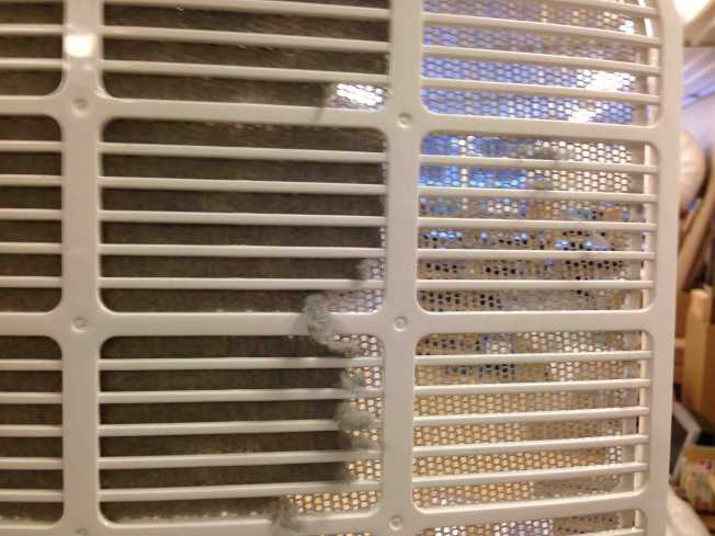 filter-dd8l-1.jpg