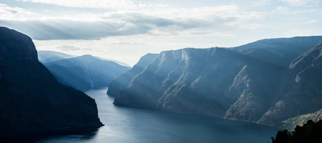 skog fjell norsk natur fjord